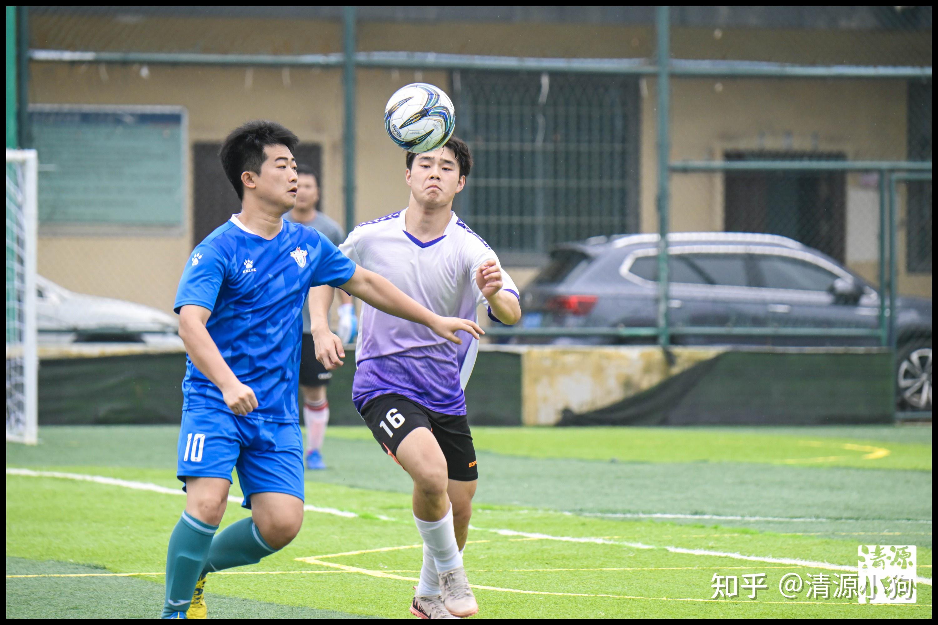 成员国承诺 成员国承诺