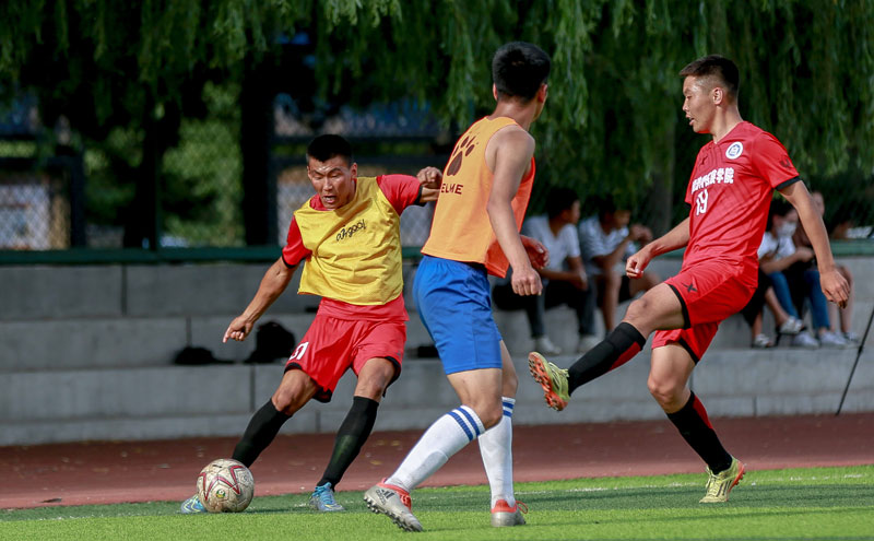 关节友好 关节友好